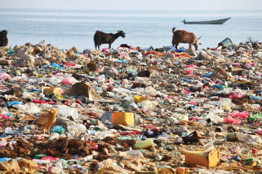 India’s Plastic Dilemma: Closing the Loop on Packaging Waste
